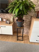 Kwietnik Loftowy Arben Loft Czarny 60cm