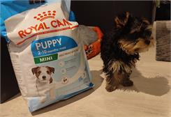 Royal Canin Mini Puppy 8kg