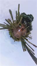 Insta360 X3 (CINSAAQB)