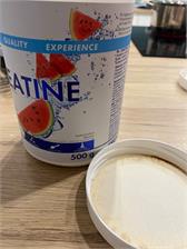 Sfd Creatine 500g