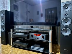 WiiM Pro Plus