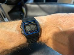 Casio F-91W-1YEG