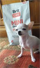 Brit Care Mini Grain Free Puppy Lamb 2Kg
