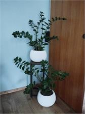 Kwietnik Loftowy Arben Loft Czarny 60cm
