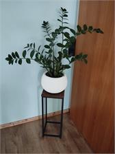 Kwietnik Loftowy Arben Loft Czarny 60cm