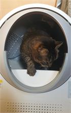 Catlink Inteligentna Samoczyszcząca Kuweta Dla Kotów Pro X Luxury Version