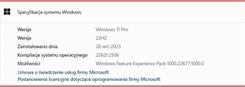 Windows 11 Professional ESD