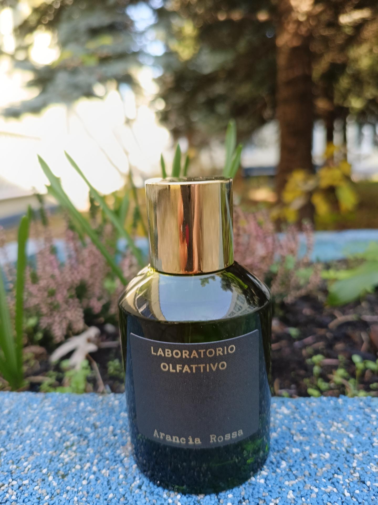 Laboratorio Olfattivo Arancia Rossa Woda Perfumowana 100ml 