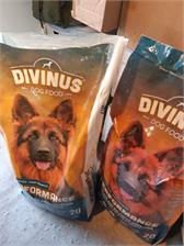 Divinus Performance Dla Owczarka Niemieckiego 20kg