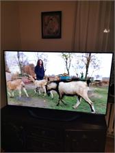 Telewizor Mini LED Hisense 55U7KQ 55 cali 4K UHD