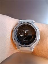 Casio GA-2100SKE -7AER