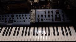 Modal Electronics Cobalt8M | Wirtualny syntezator analogowy 8-głosów