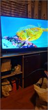 Telewizor LED TCL 43P635 43 cale 4K UHD