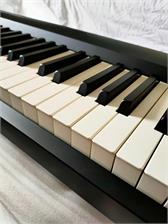 Pianino Cyfrowe Roland Fp-10 Bk