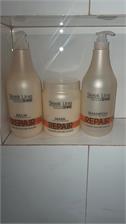 Stapiz Sleek Line Repair Mask Maska Do Włosów 1000Ml