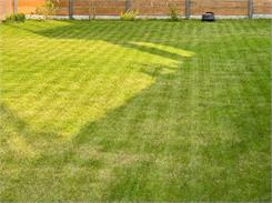 Robot koszący Dreame Roboticmower A1 