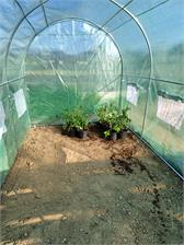 GardenPoint Tunel foliowy do uprawy roślin 2x3,5m GAP010