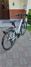 Kross Trans 1.0 Biało Szary Połysk 28 2022