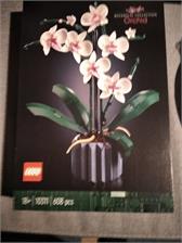 LEGO ICONS Botanicals 10311 Orchidea