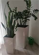 Lechuza CUBICO 22x22x41cm biała połysk (L-1232)