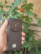 Xiaomi 14 Ultra 16/512GB Czarny