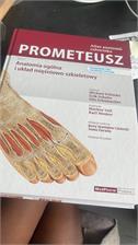 PROMETEUSz  Atlas Anatomii Człowieka Tom I Anatomia ogólna i układ mięśniowo  szkieletowy Nomenklatura łacińska