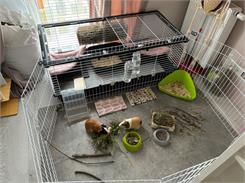 Ferplast Cage Parkhome 120 Klatka Dla Królików I Świnek Morskich