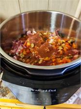 Instant Pot Rio XL