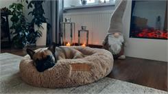 Empire Hipoalergiczna Karma Dla Dorosłych Buldogów Francuskich 12Kg
