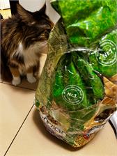 Jrs Cat'S Smart Pellets 20L