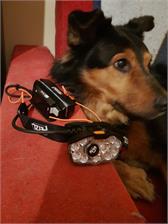 Petzl Latarka Czołowa Nao Rl (E105AA00)