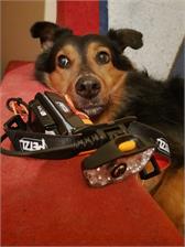 Petzl Latarka Czołowa Nao Rl (E105AA00)