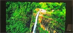 Telewizor QLED Samsung QE65QNX1DAT 65 cali 4K UHD