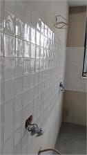 Equipe White 10x10