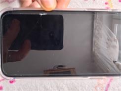 Etui + 2x szkło + aparat Bizon do iPhone 11