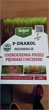 Target P-Drakol biologiczny koncentrat na pędraki i nicienie 20g
