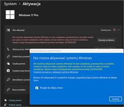 Microsoft Windows 11 Pro (kod) (4251972945585)