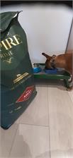 Empire Karma Dla Psów Z Alergią Bez Drobiu Kurczaka 12Kg