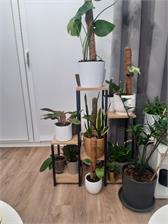 Kwietnik Stojący Metalowy Na Kwiaty Rośliny 79cm Panorama