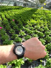 Casio AE-1500WH-1AVEF