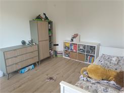 Piaski Regał Forest Rg80 Eukaliptus   Jodełka Scandi 