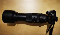 Sigma 60-600 mm f/4.5-6.3 DG DN OS Sports / Sony E