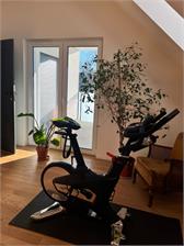 Spinningowy rower stacjonarny Wingman SLX22 Pro