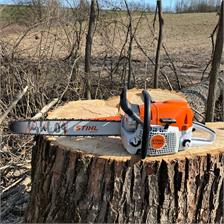 Stihl MS 391