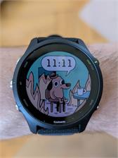 Garmin Forerunner 255 Music Czarny 010-02641-30