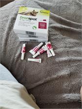 Vetoquinol Dronspot Lek Na Odrobaczanie Dla Dużych Kotów 96mg/24mg