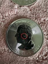 Liść Klonu (2025) 1 Oz Srebrna moneta inwestycyjna