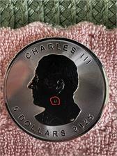 Liść Klonu (2025) 1 Oz Srebrna moneta inwestycyjna
