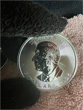 Liść Klonu (2025) 1 Oz Srebrna moneta inwestycyjna