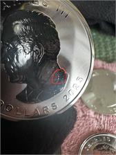 Liść Klonu (2025) 1 Oz Srebrna moneta inwestycyjna